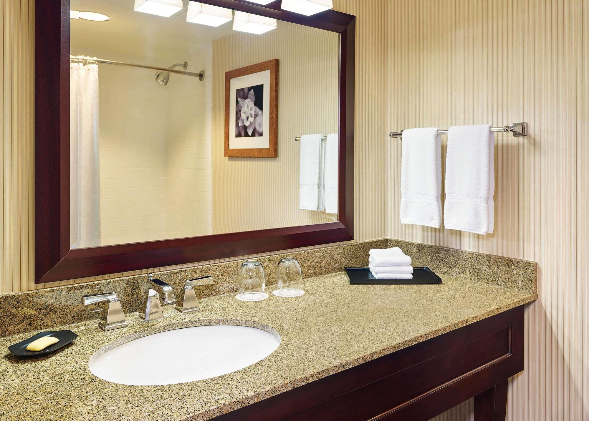 Blue Ridge Hotel & Conference Center 罗阿诺克 外观 照片