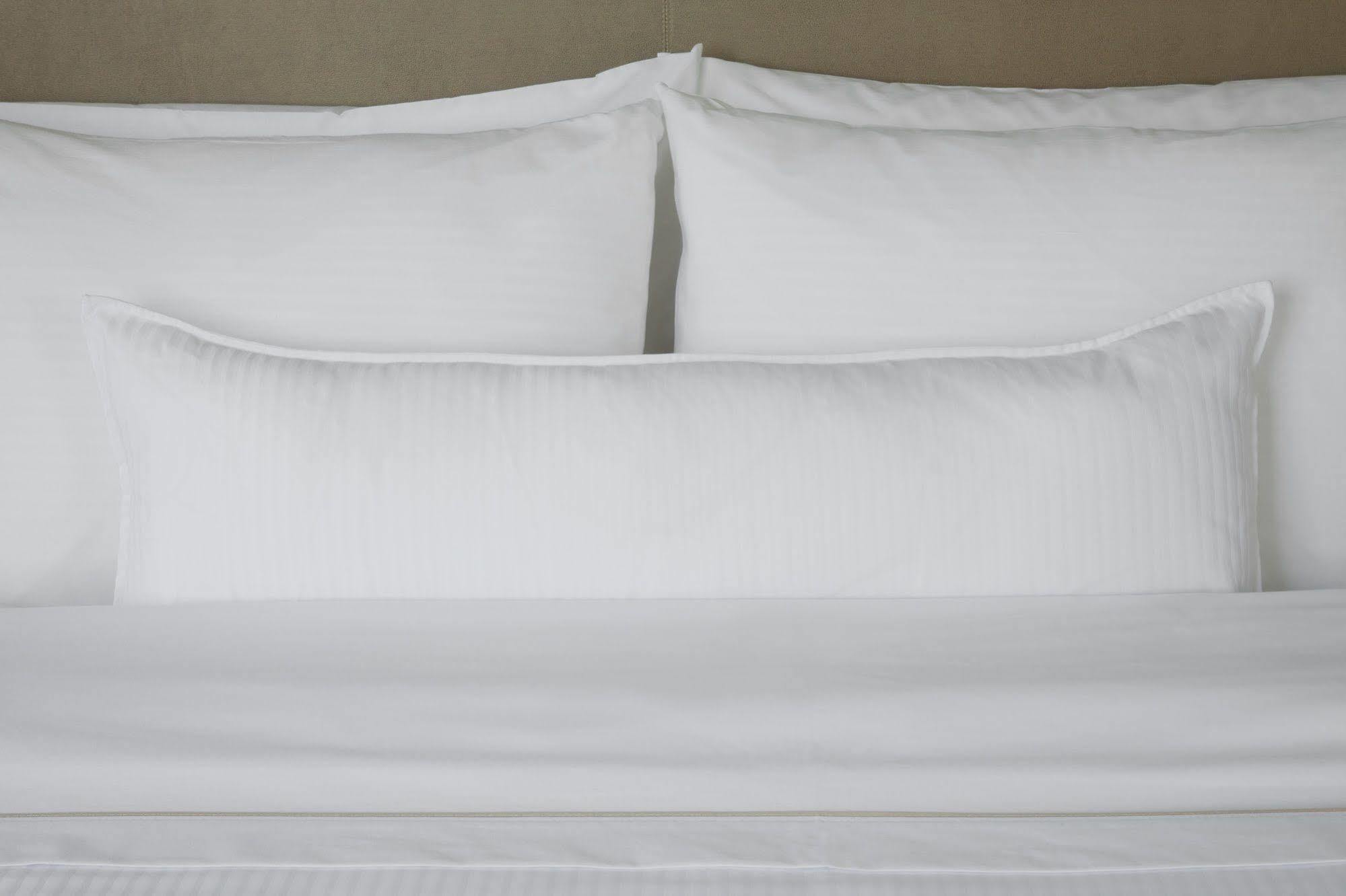Blue Ridge Hotel & Conference Center 罗阿诺克 外观 照片